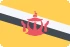 Marketing online Brunei Darussalam