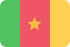 Marketing online Camerún