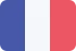 SMS verificados por Google Francia