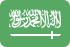Marketing online Arabia Saudita