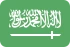 Marketing online Arabia Saudita