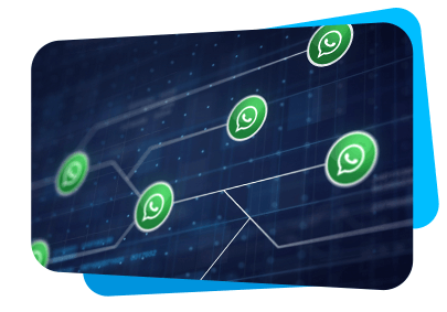 WhatsApp Business API