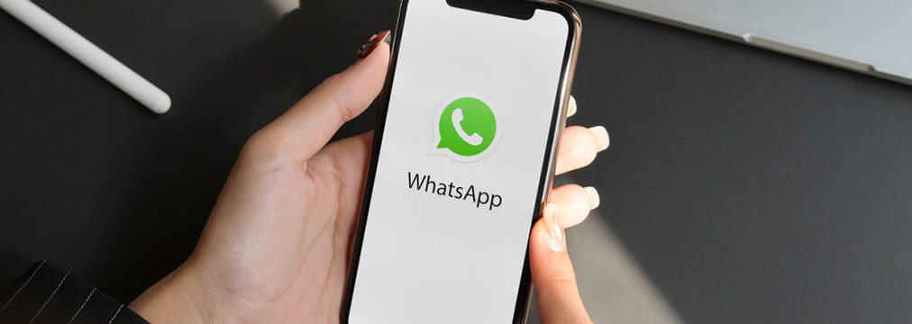 BSP WhatsApp