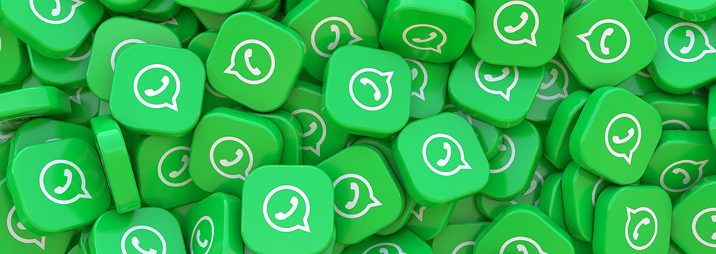  WhatsApp masivo